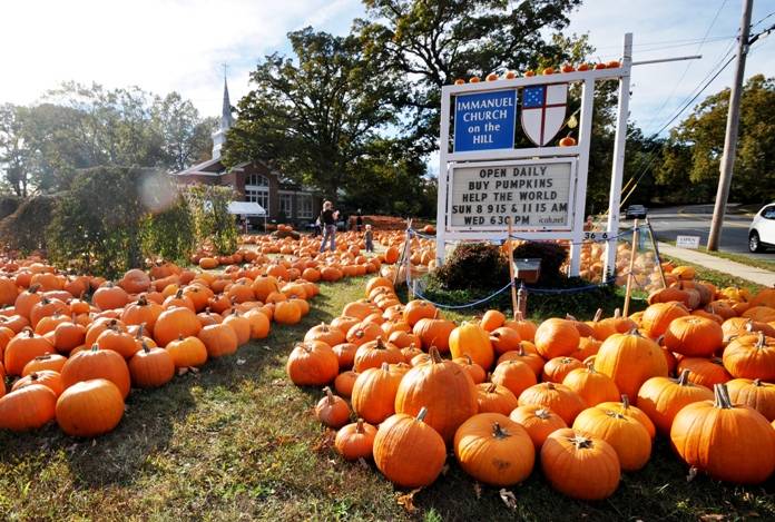 The pumpkin patch at Immanuel Church-on-the-Hill. 