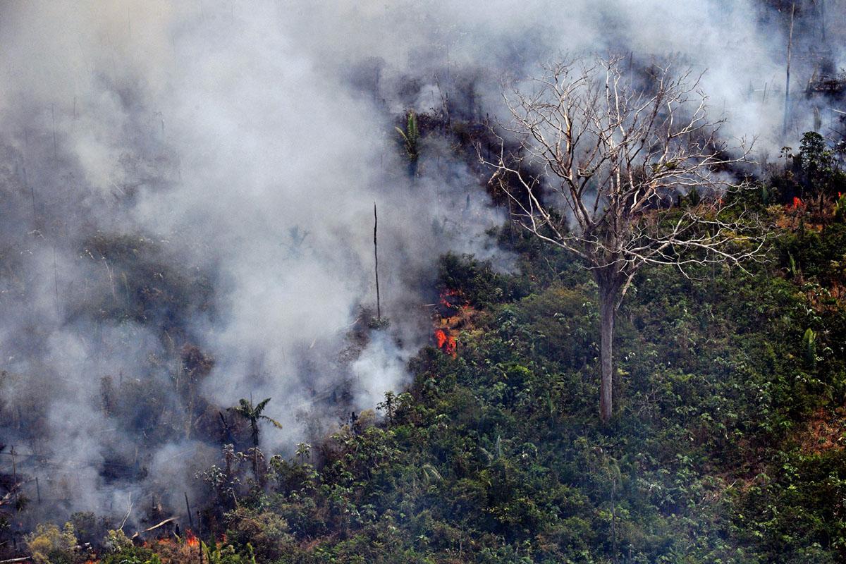 Aerial photo of the Amazon fire. Photo courtesy of CARL DE SOUZA/AFP/Getty Images