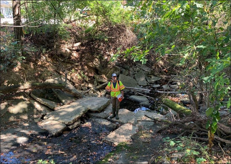 A Deep Dive Into the Taylor Run Stream Restoration Project