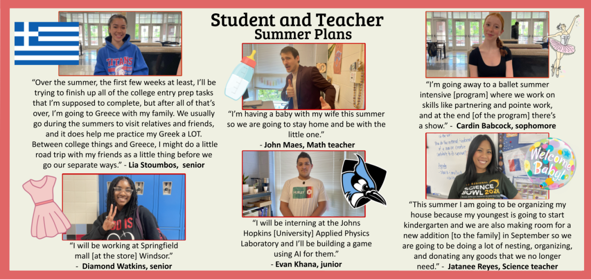 A look into how the students and teachers of ACHS are spending their summer.