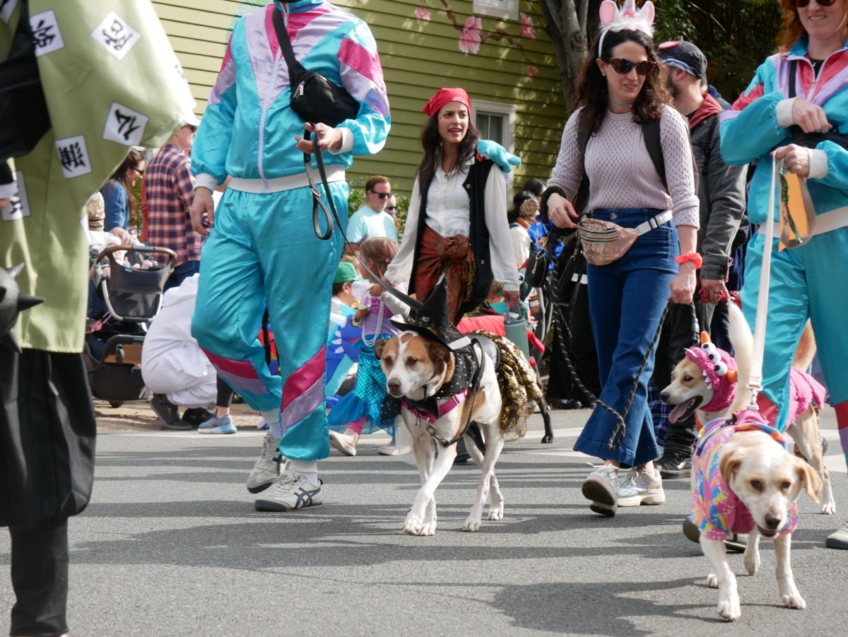 The Pet Costume Contest, another part of the parade, features dogs and their owners dressed in a plethora of unique costumes.
