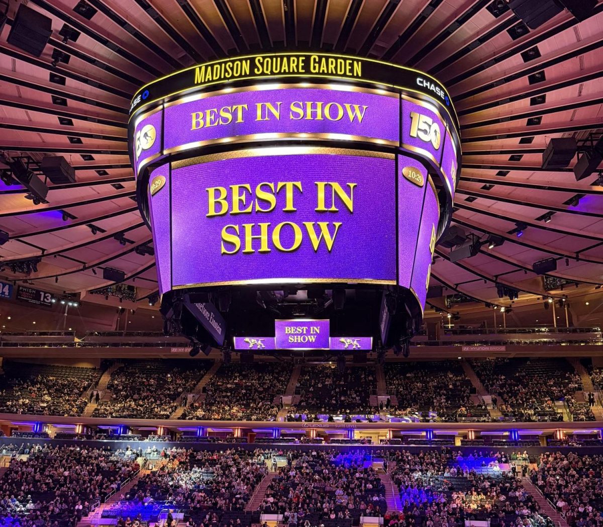 "Best in Show" is the final title of the competition and is awarded to one of the winners of the seven categories.