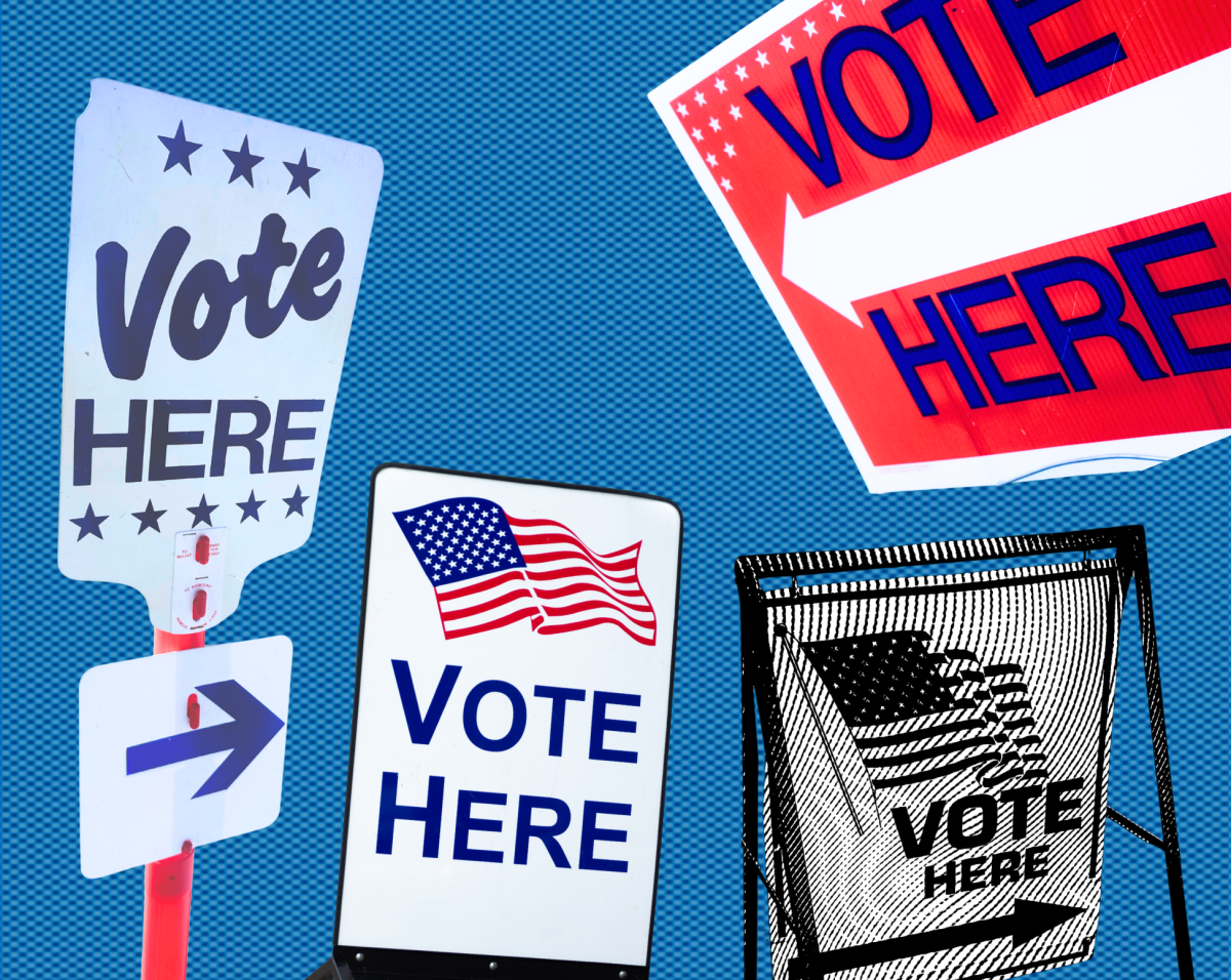 The Alexandria Democratic Party recently held a firehouse primary, but it fell short of expectations.
