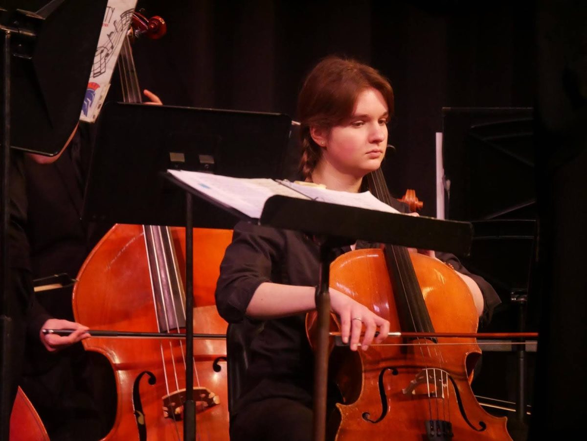 Senior Helen Keber plays the cello in the ACHS orchestra. Orchestra students competed at the recent All-Virginia auditions at JMU.